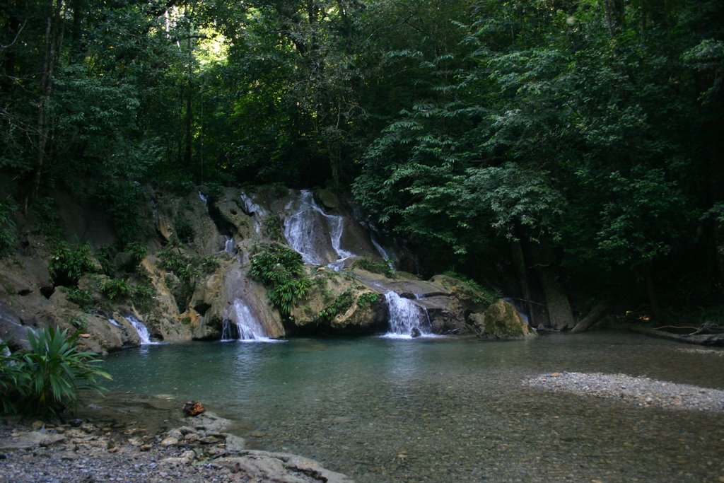 rainforest guatemala